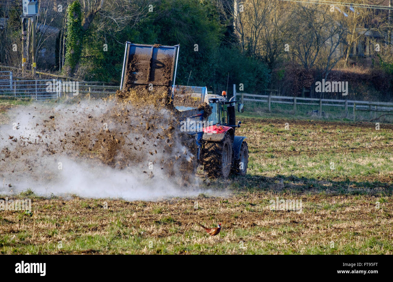 Farmer muck spreading england hires stock photography and images Alamy