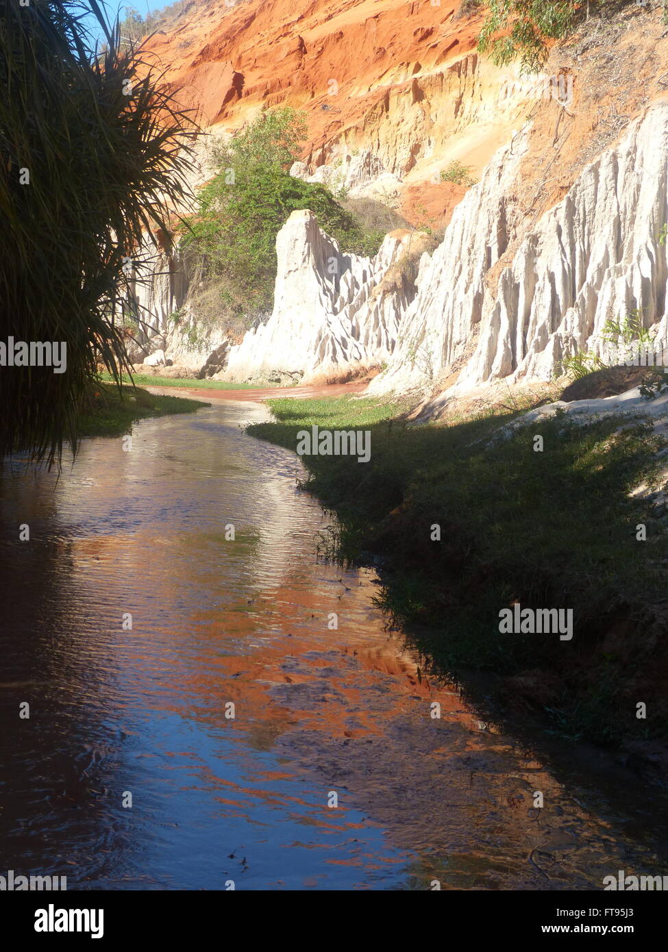 Fairy Stream (Suoi Tien) with knee deep gently drifting water. White lime stone contrast with red sand stone and early morning o Stock Photo