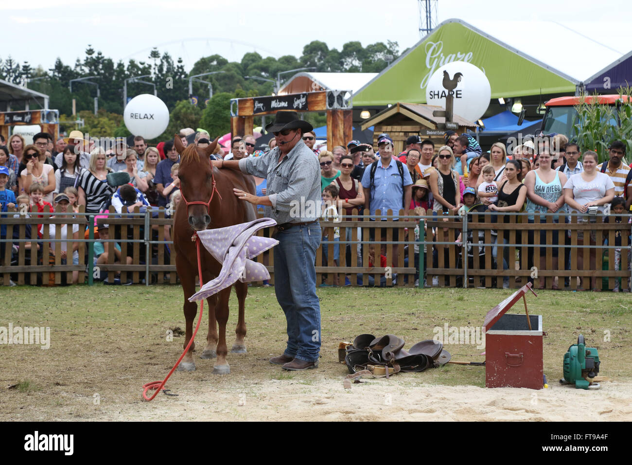 Stockman riding horse hi-res stock photography and images - Alamy