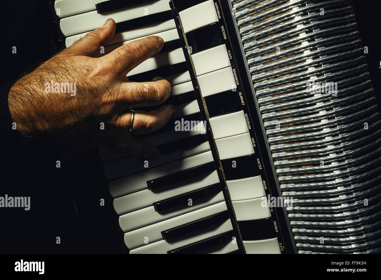 Conceptual composition about playing an accordion, details of a hand on