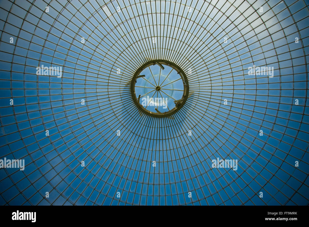 Closeup of greenhouse dome in Glasgow Stock Photo Alamy