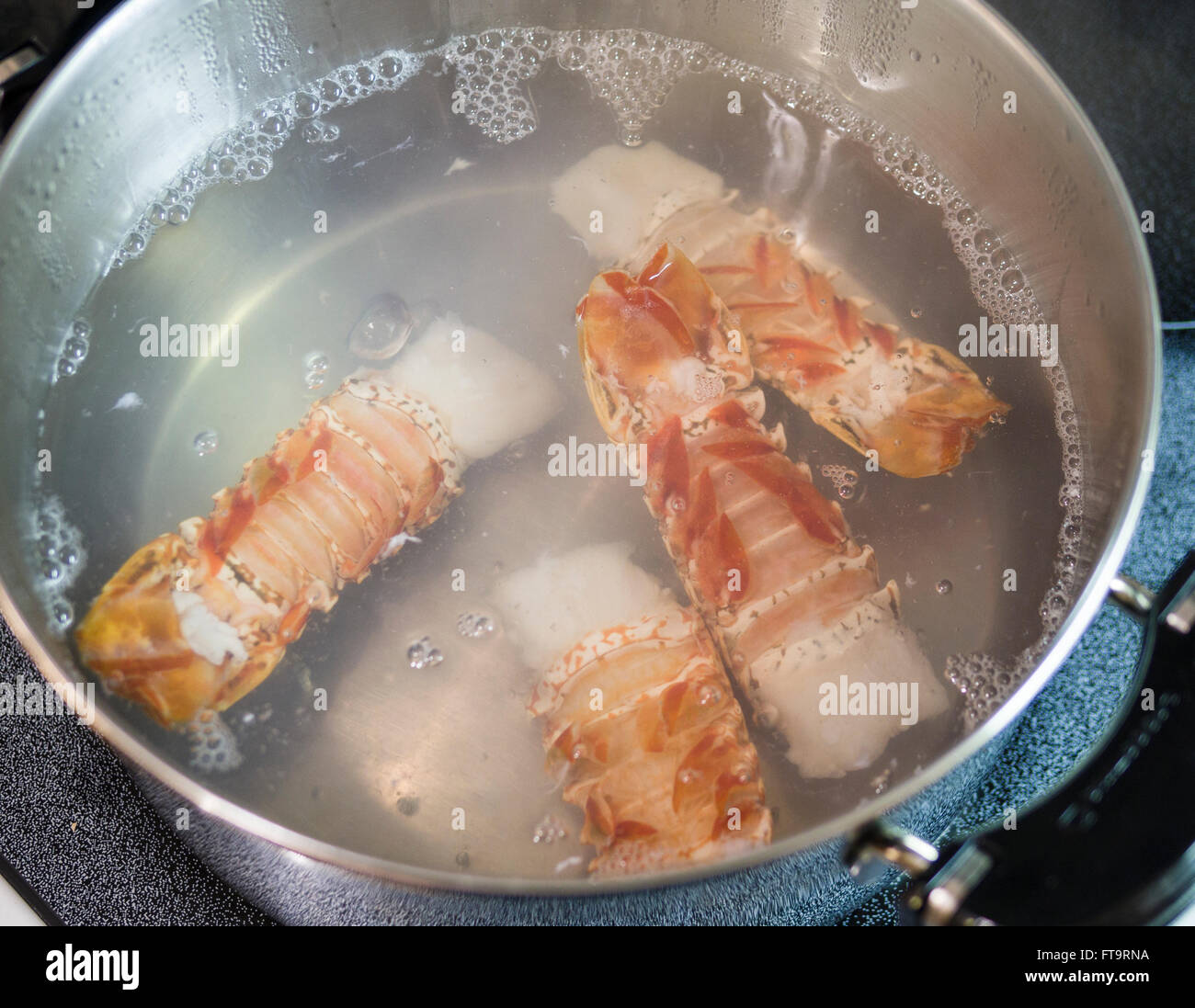 Boiling four lobster tails. 4 lobster tails cook in a pot of water