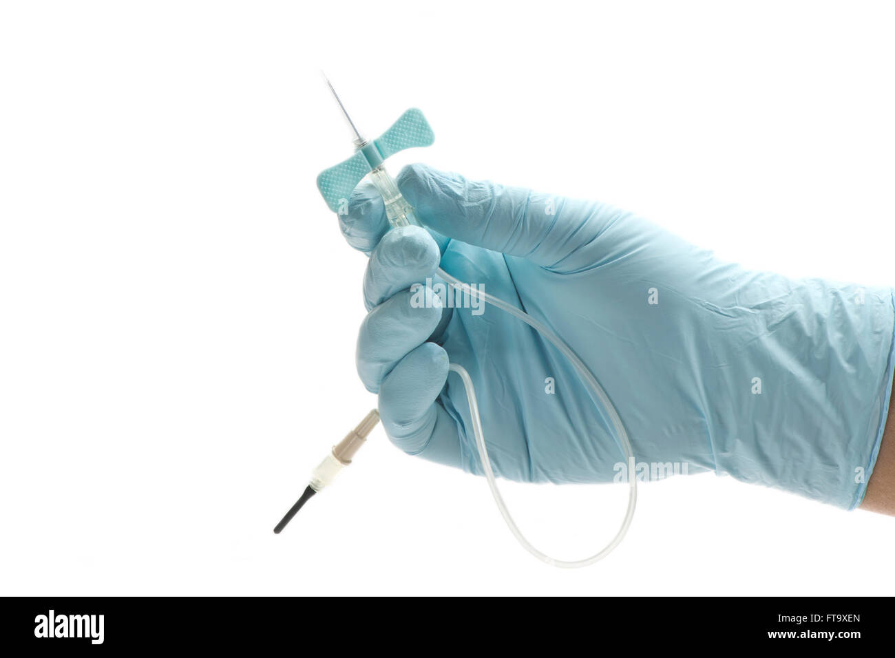Health care worker's gloved hand holds small blue butterfly catheter