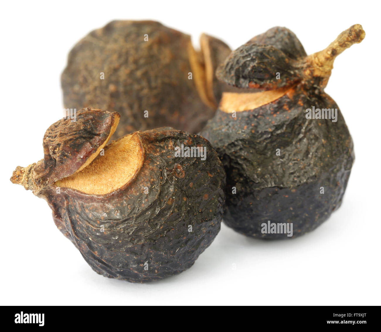 Soapnuts or Soapberries used as natural surfactant over white background Stock Photo