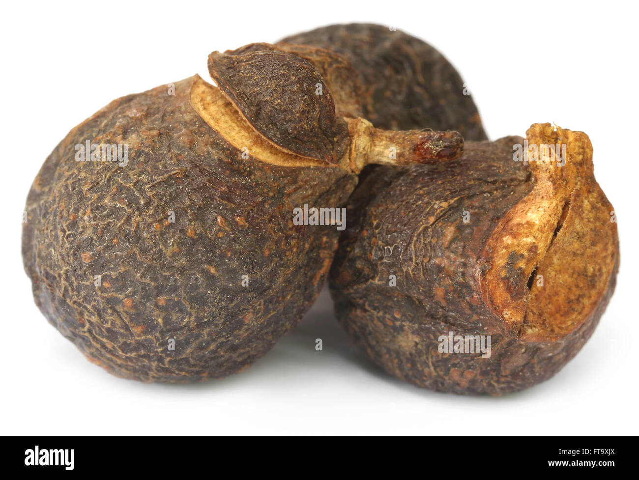 Soapnuts or Soapberries used as natural surfactant over white background Stock Photo