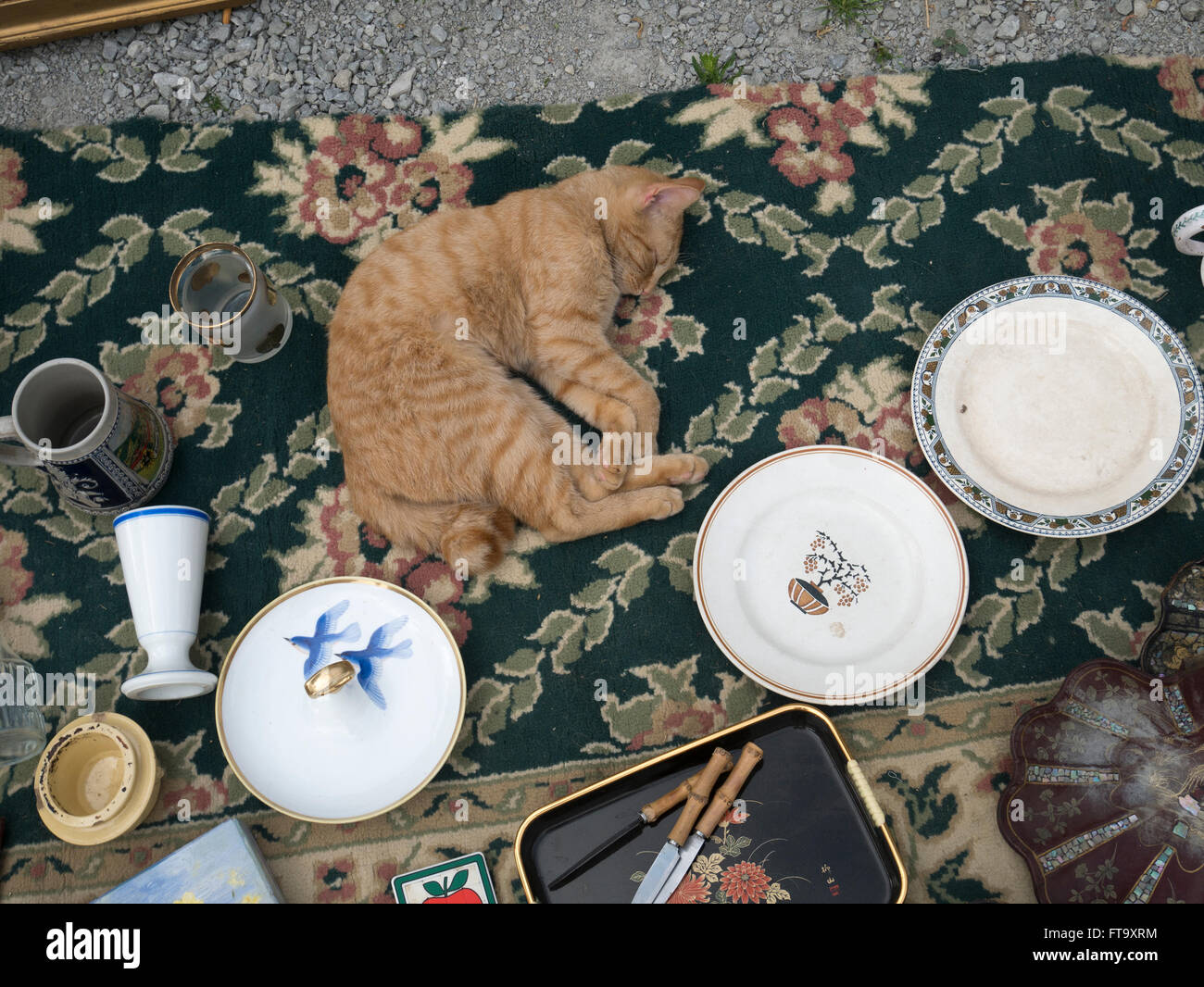 A ginger cat takes a nap among items laid out at a car boot sale in  Languedoc, France Stock Photo - Alamy