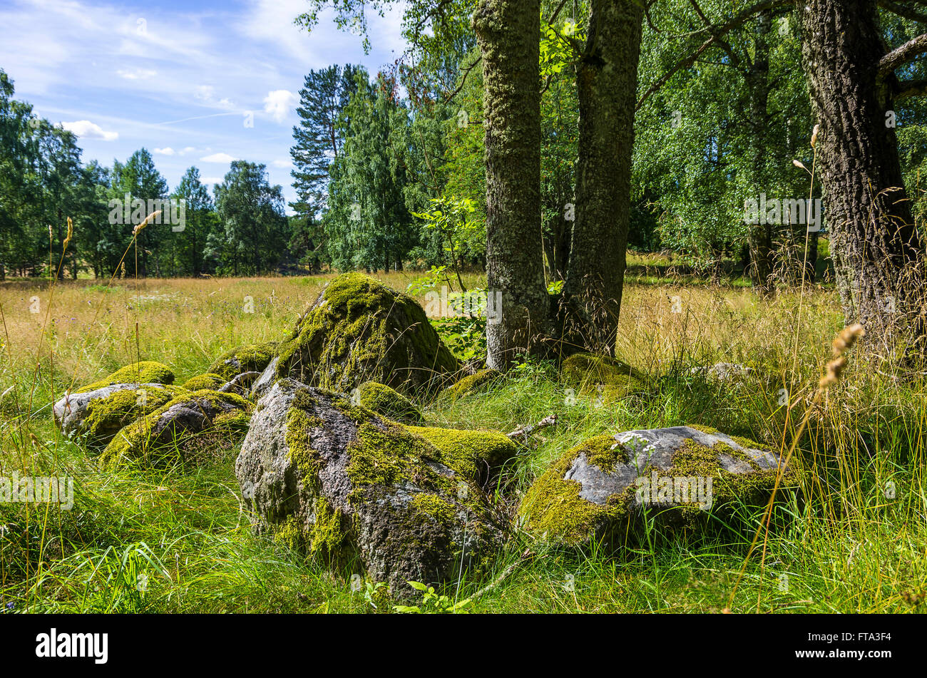 Ancient burial ground in West Gothland, Sweden, which dates back to the iron and stone ages. Stock Photo