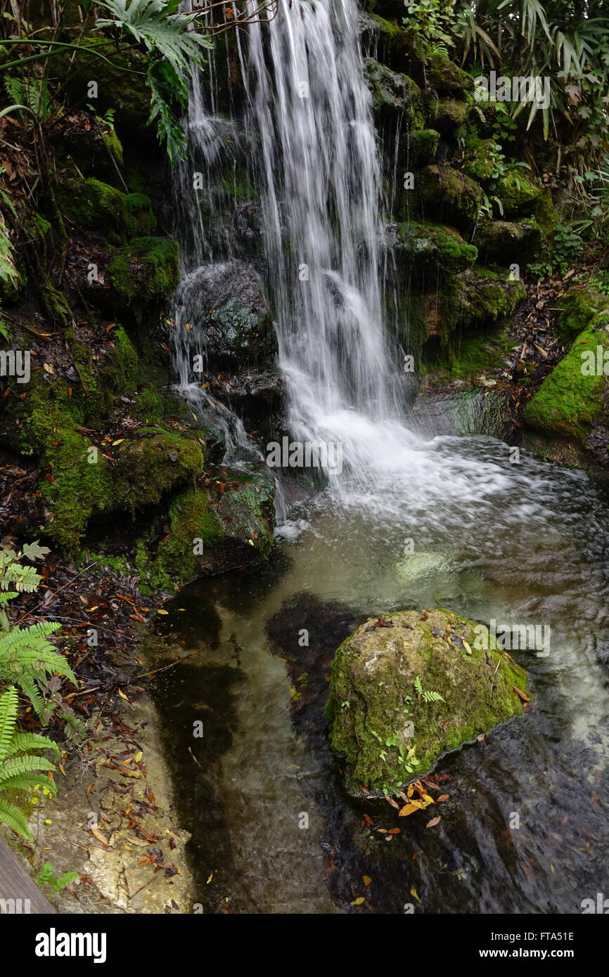 Waterfall at Rainbow Springs  State Park, Dunnellon, Florida Stock Photo