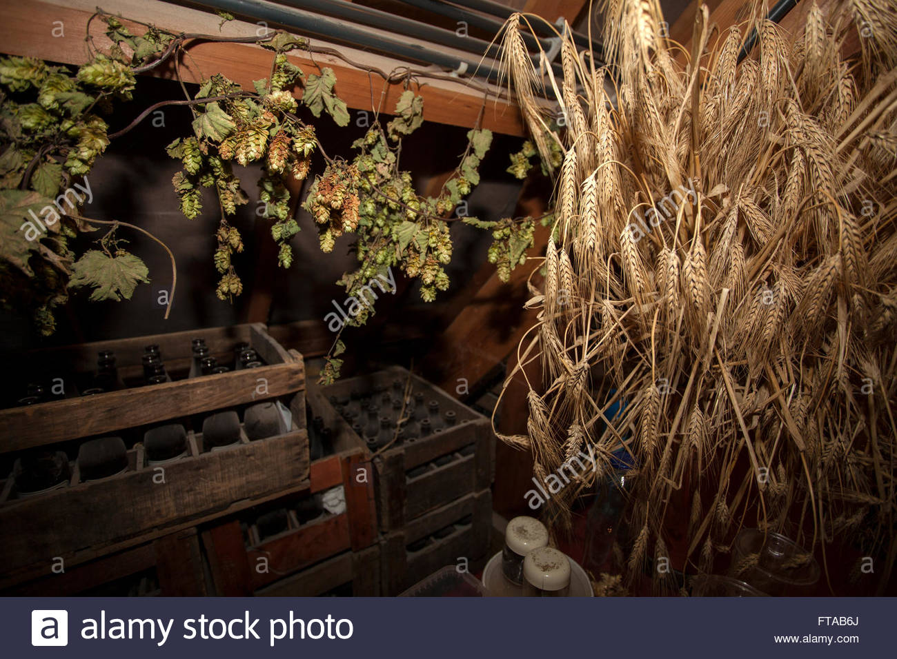 Belgian Brewer High Resolution Stock Photography and Images Alamy