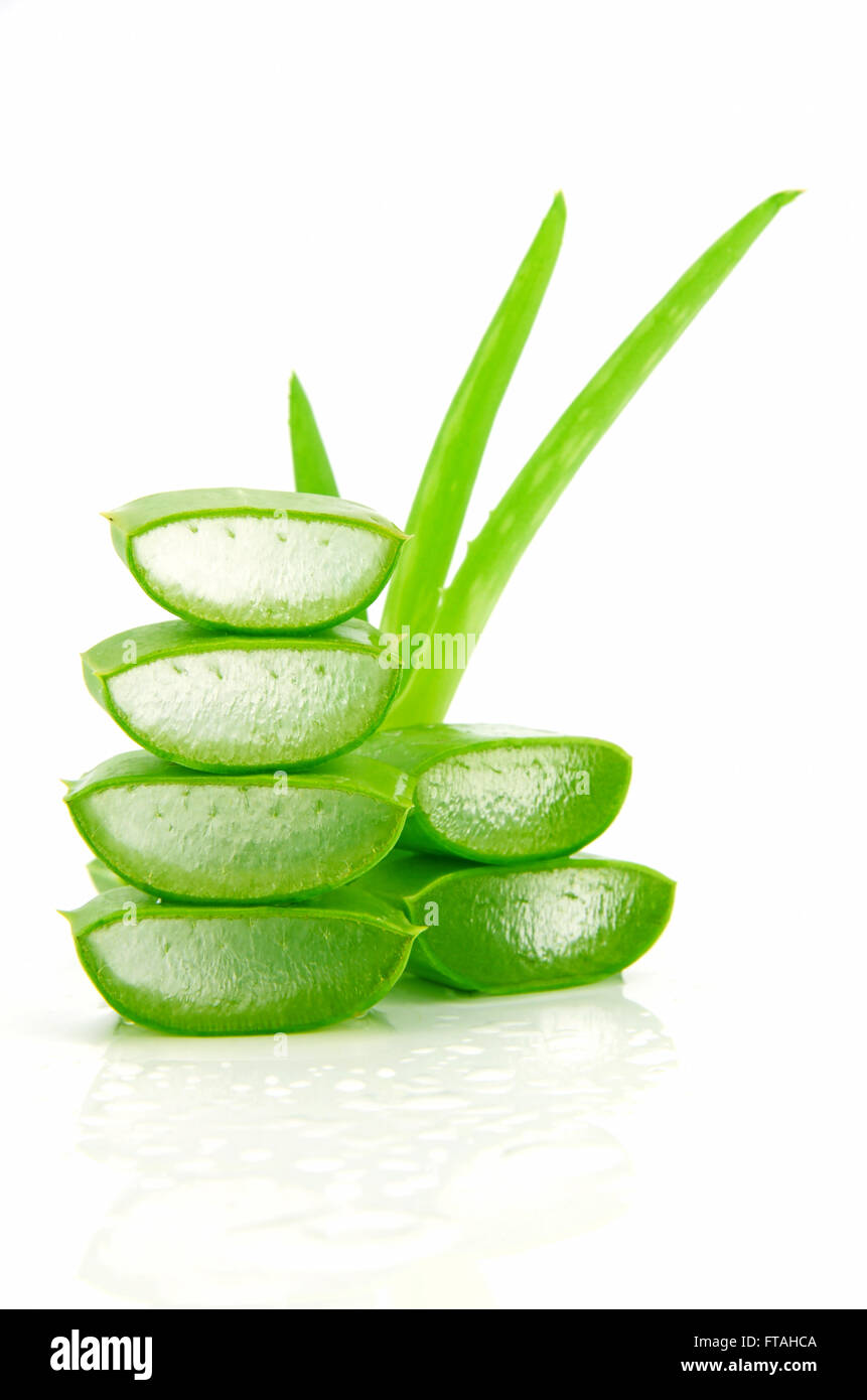wie viel kostet aloe vera Aloe Vera, XXL – toskanagartenshop main image 0