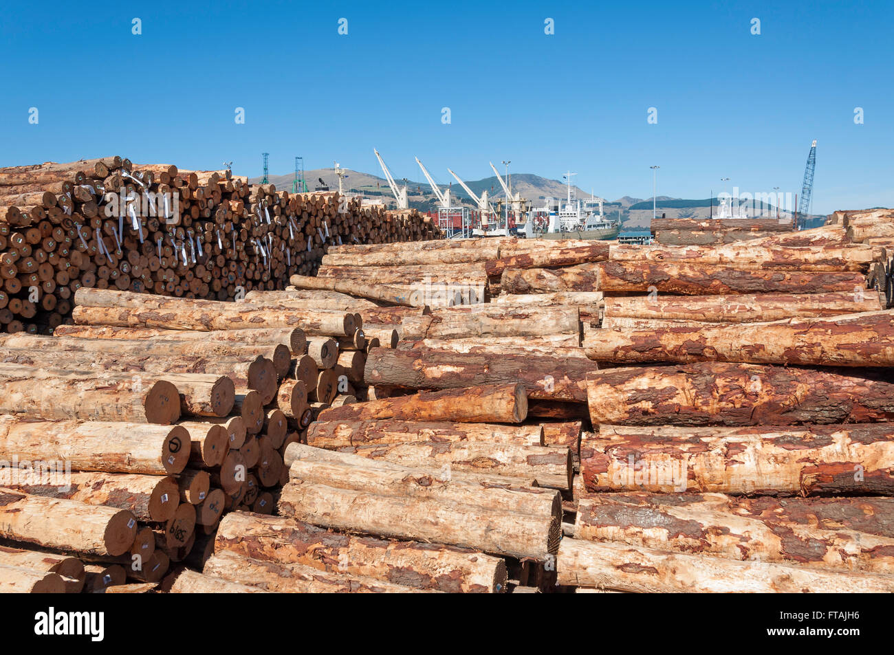Piles of logs ready for loading at Container Port, Lyttelton Harbour, Lyttelton, Banks Peninsula, Canterbury, New Zealand Stock Photo