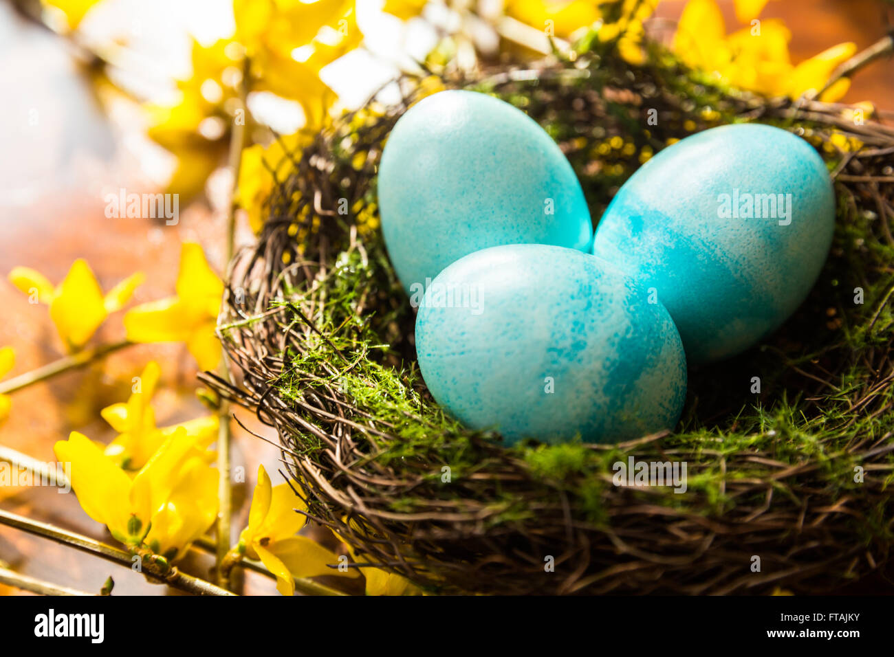 Blue and yellow eggs hi-res stock photography and images - Alamy