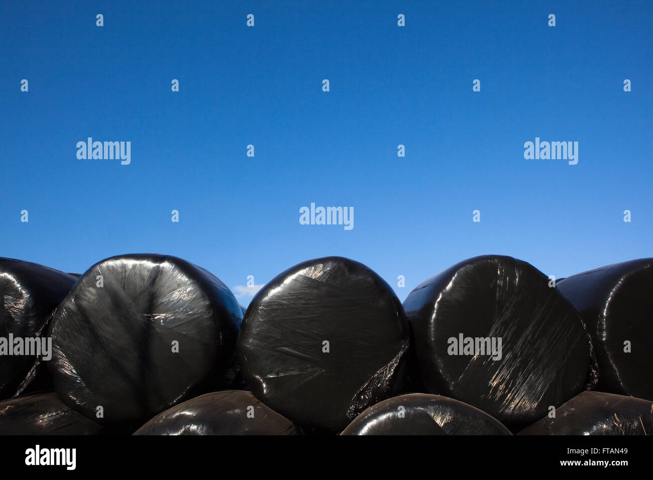 Black plastic wrapped around bales of hay or sraw on a farm makes an