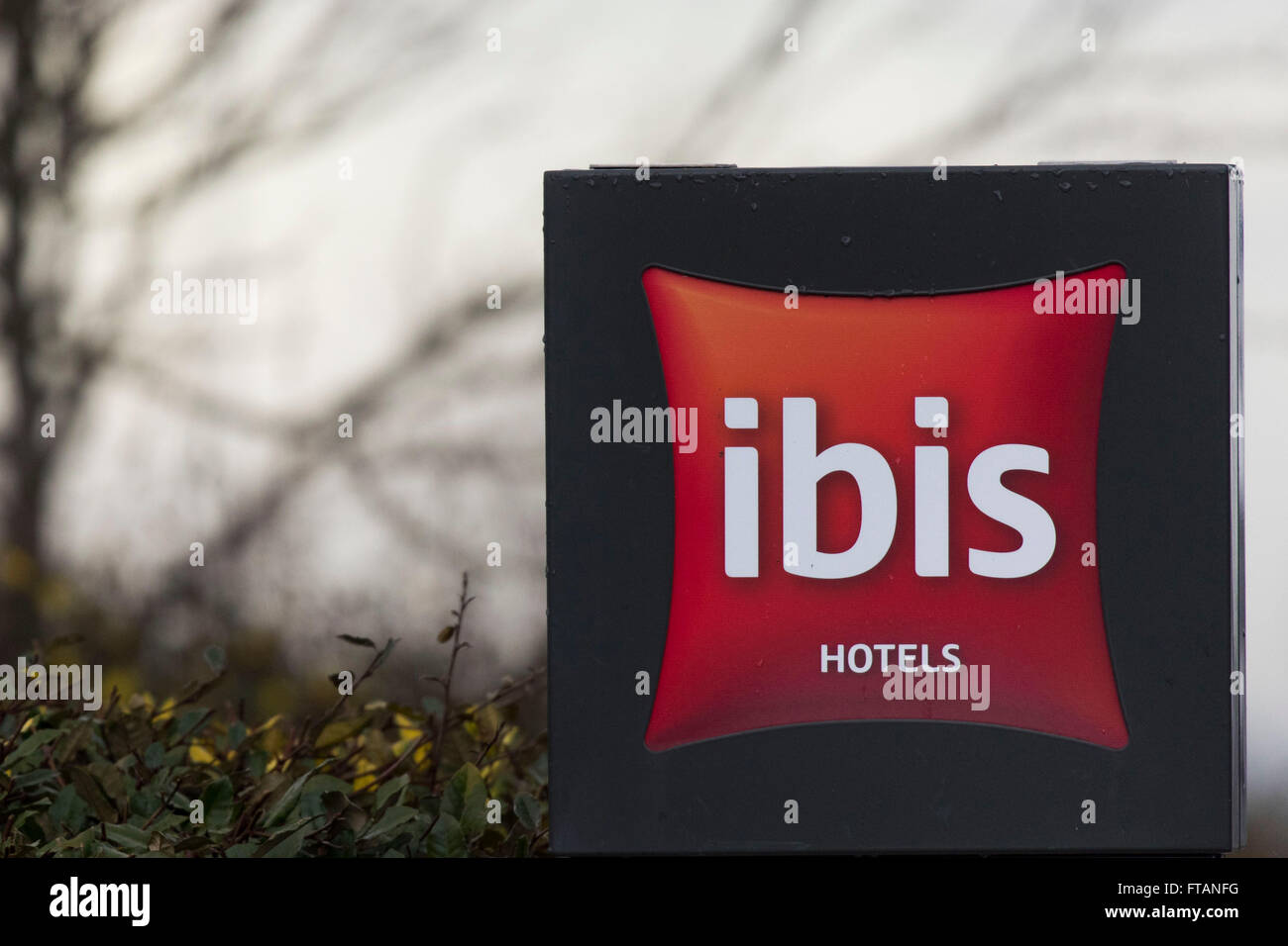 IBIS hotel sign logo. Stock Photo