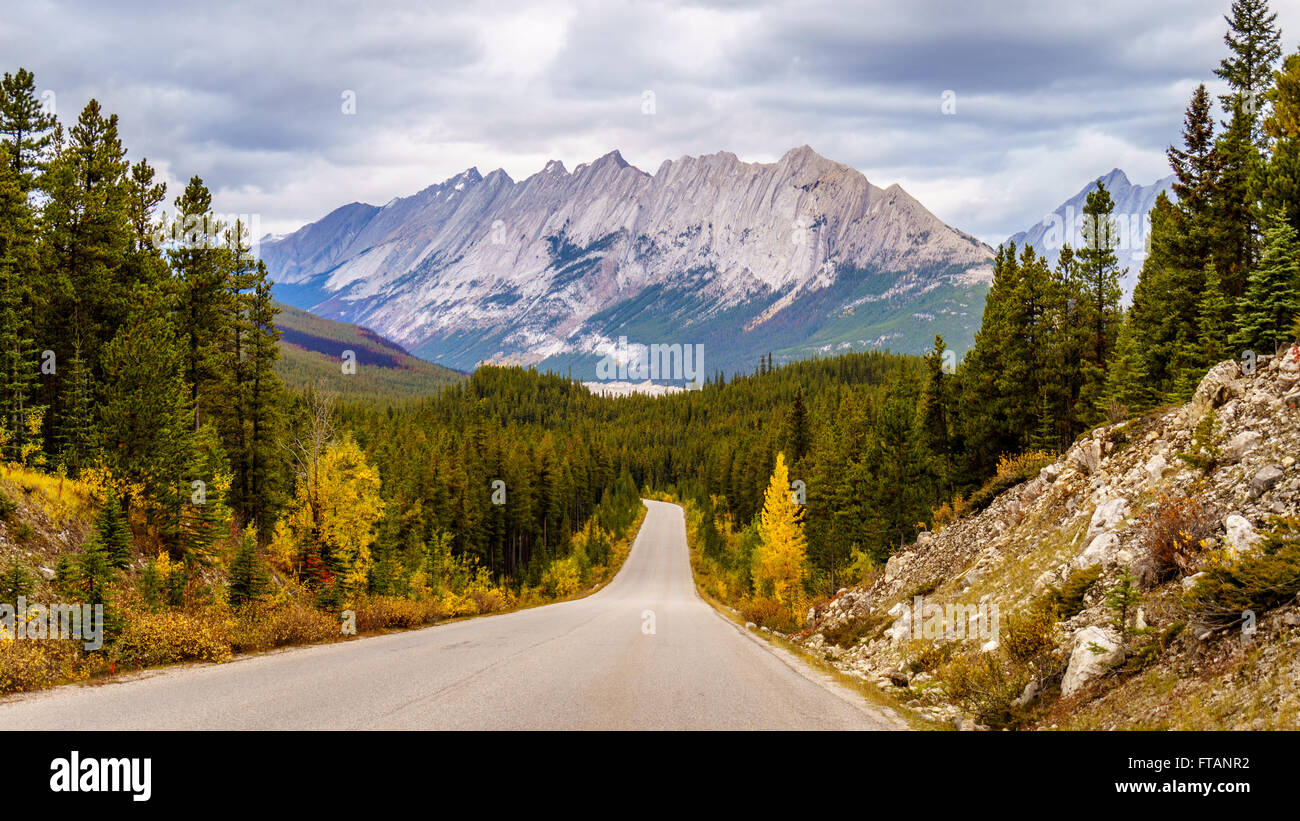 Maligne Lake Road toward Maligne Lake with Colin Range in View in Jasper National park in the Canadian Rockies in Alberta, Canada Stock Photo