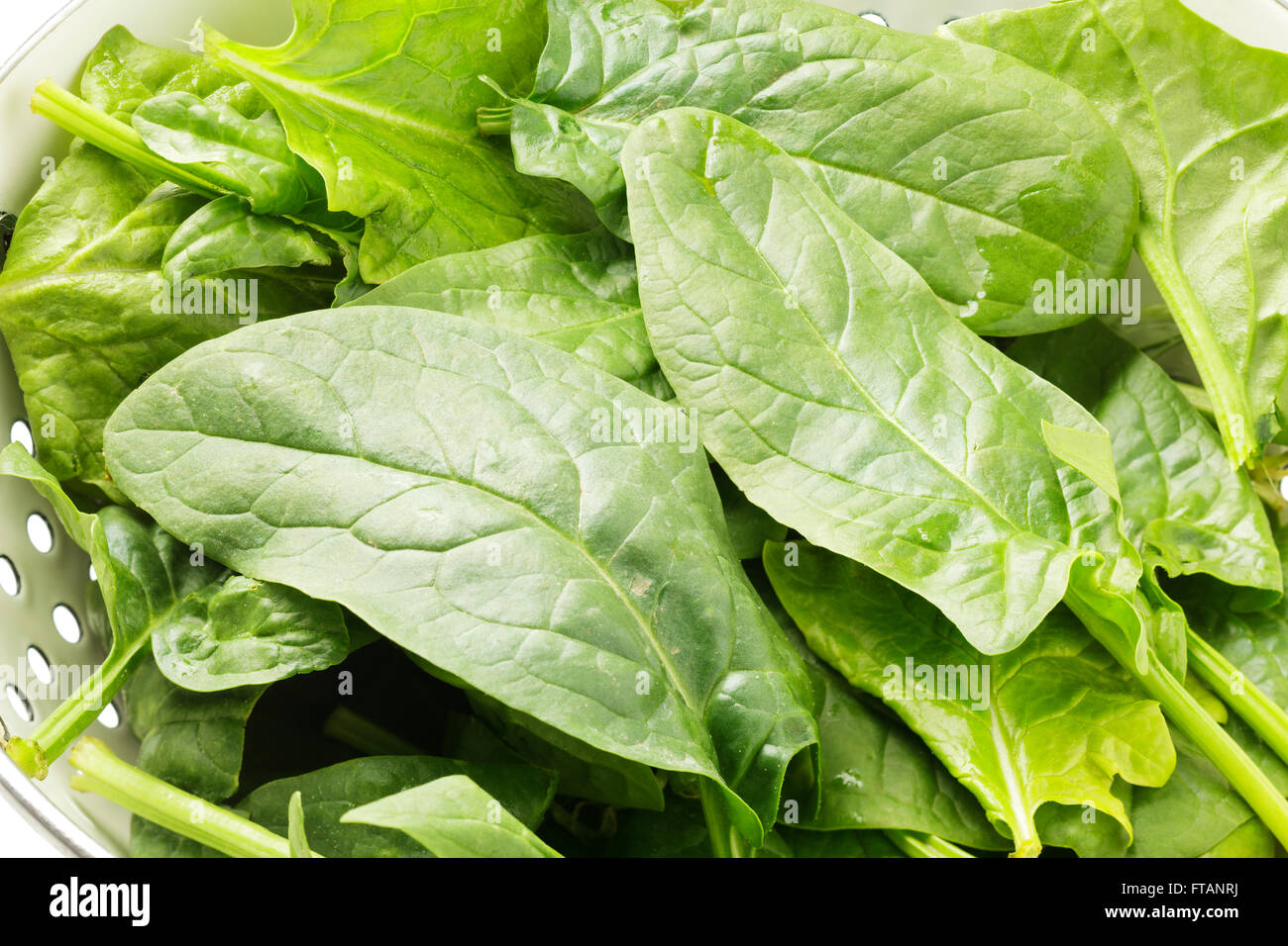 Spinach leaves hires stock photography and images Alamy