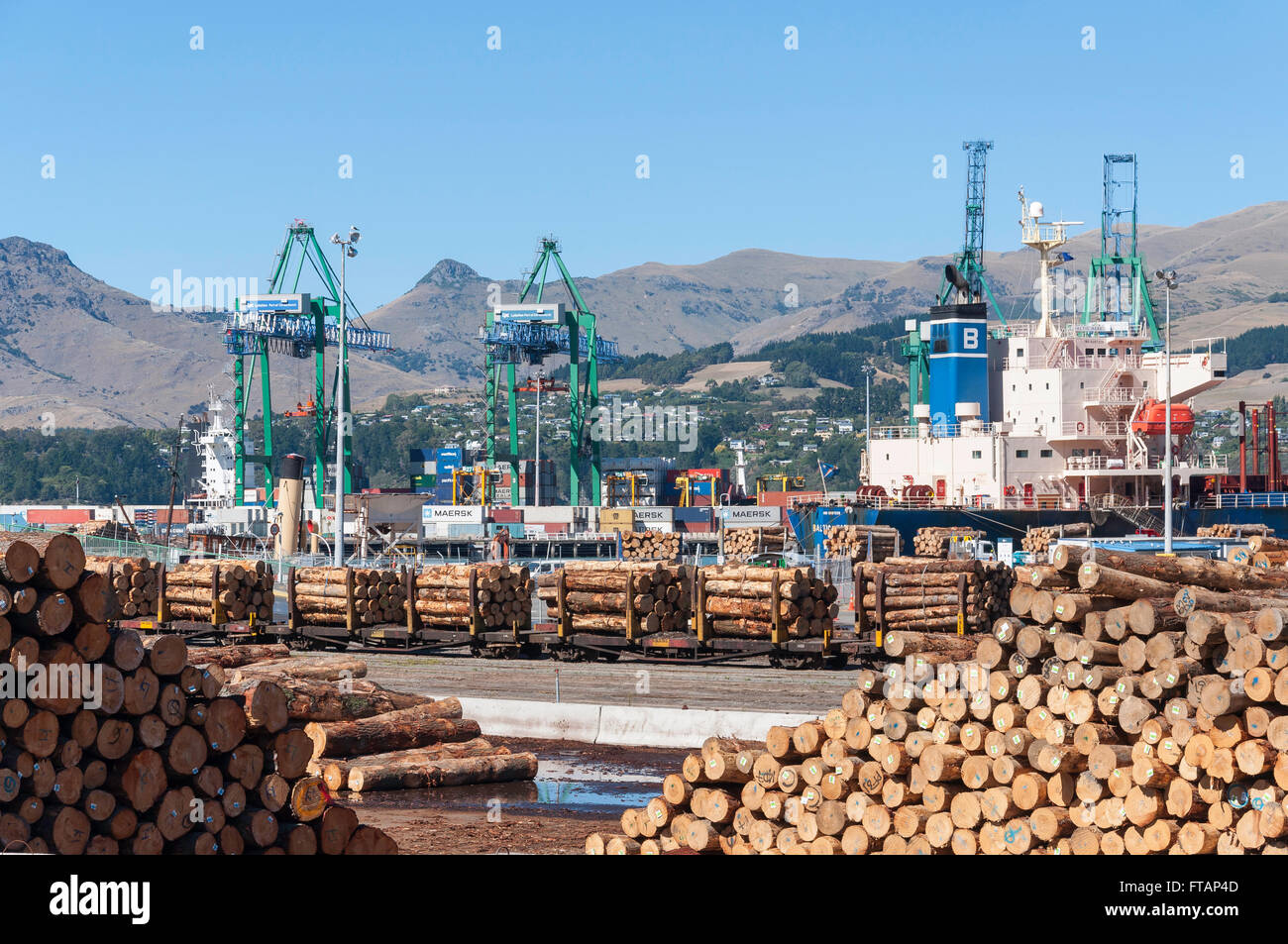 Piles of logs ready for loading at Container Port, Lyttelton Harbour, Lyttelton, Banks Peninsula, Canterbury, New Zealand Stock Photo