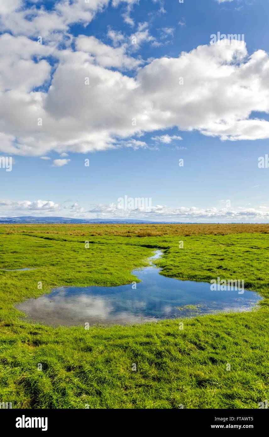 English countryside, Grange-over-sands, Cumbria, England Stock Photo
