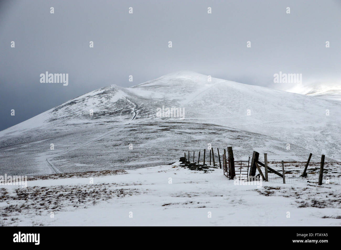 Skiddaw Lesser Man and Little Man in Snow from near the Summit of Lonscale Fell, Cumbria. UK. Stock Photo