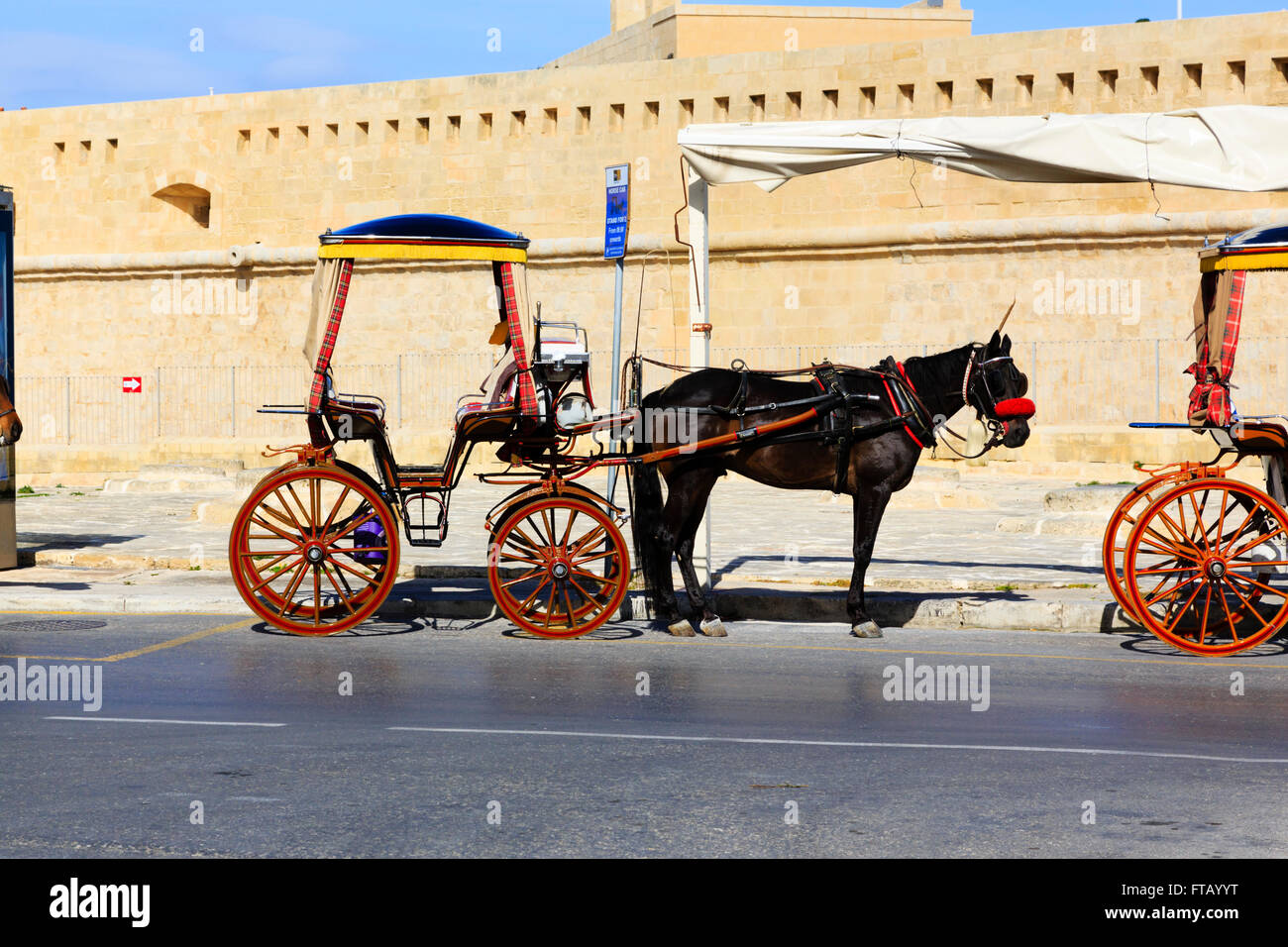Traditional Maltese horse drawn Karozzin at St Elmo, Floriana, Valletta