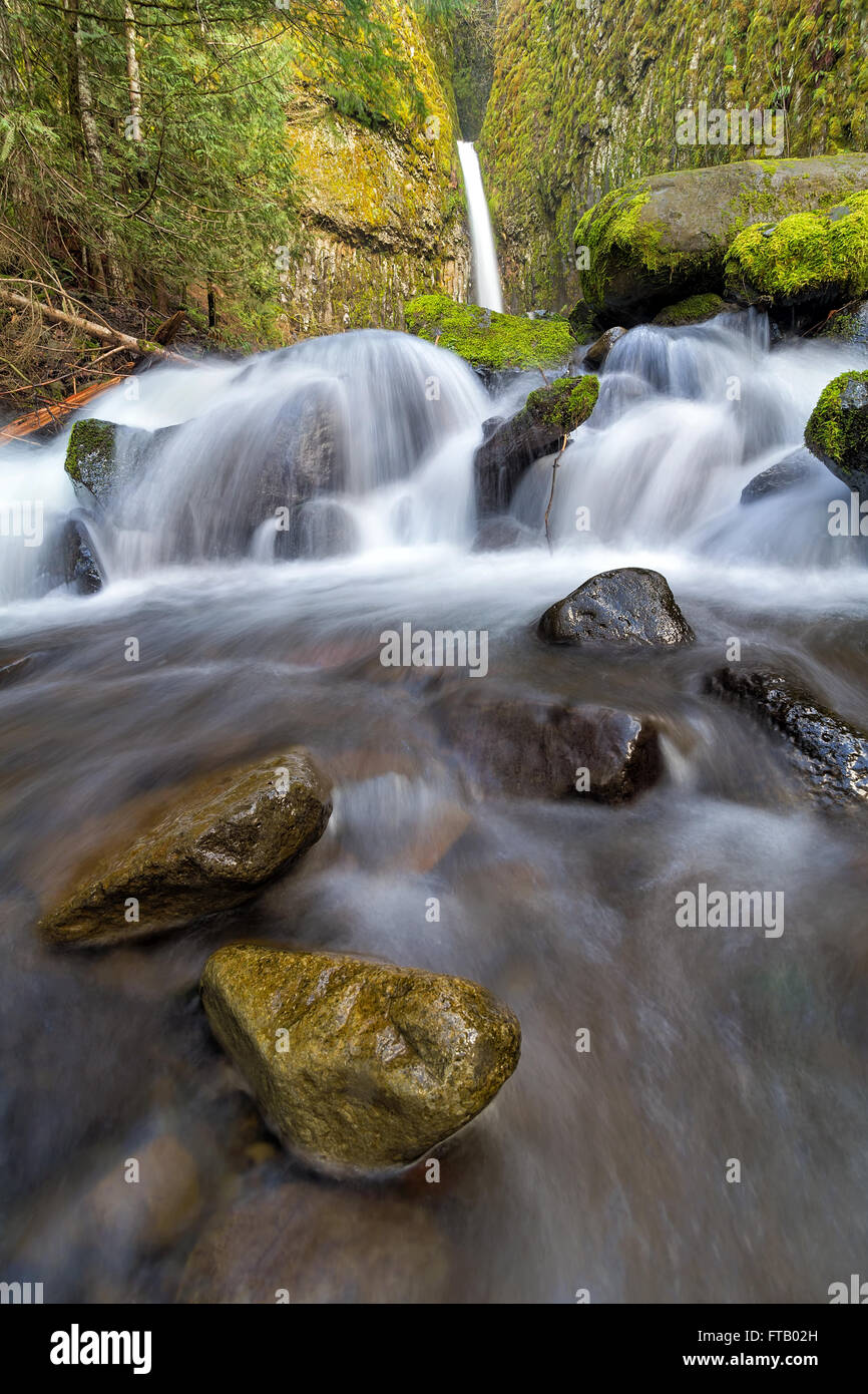 Dry Creek to Dry Creek Falls at Pacific Crest Trails in Columbia River