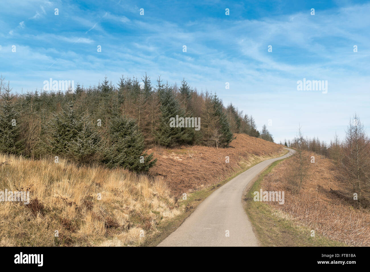 Single track road going through St. Gwynno Forest, Llanwonno, UK Stock