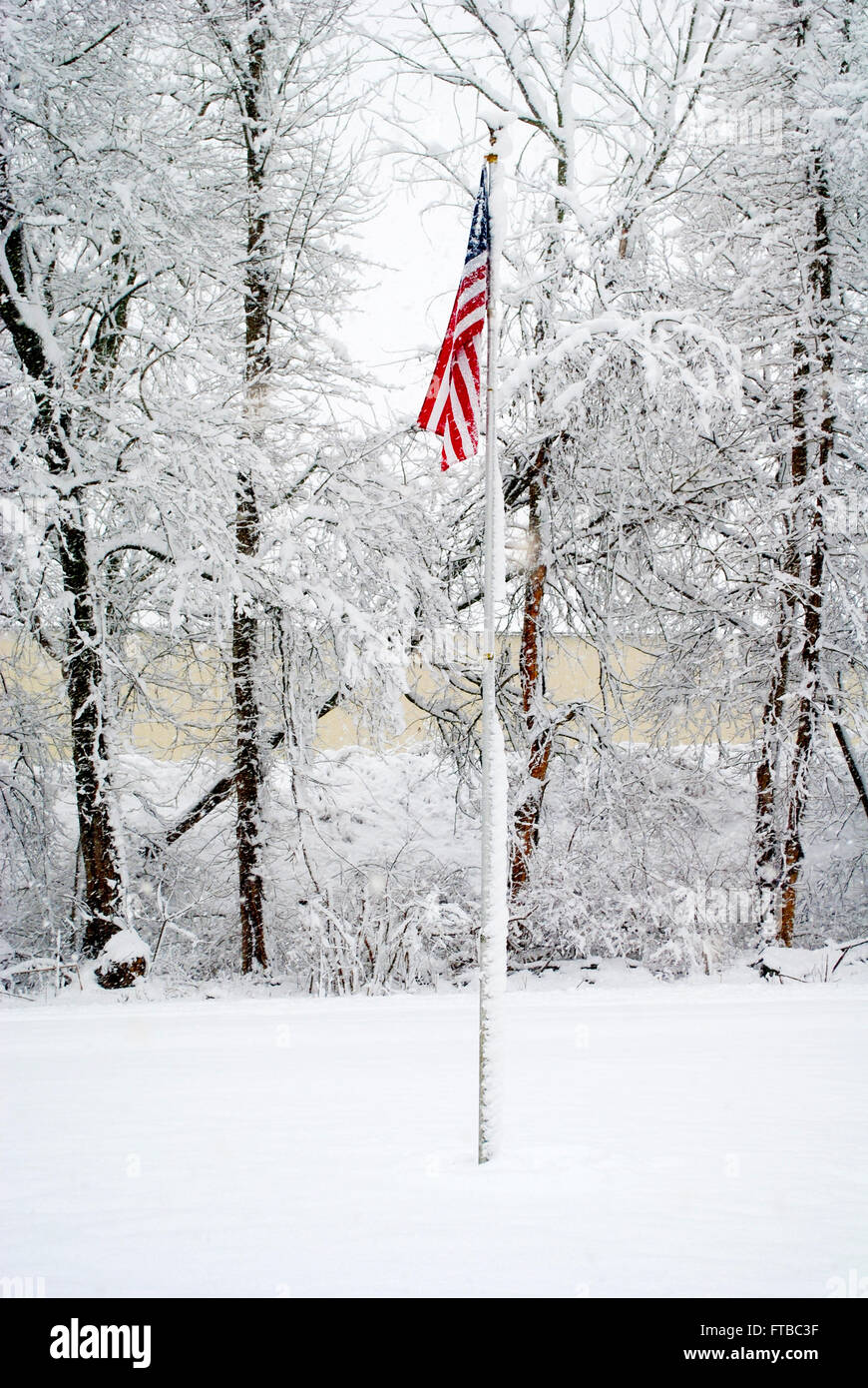 American Flag During a Snow Storm Stock Photo