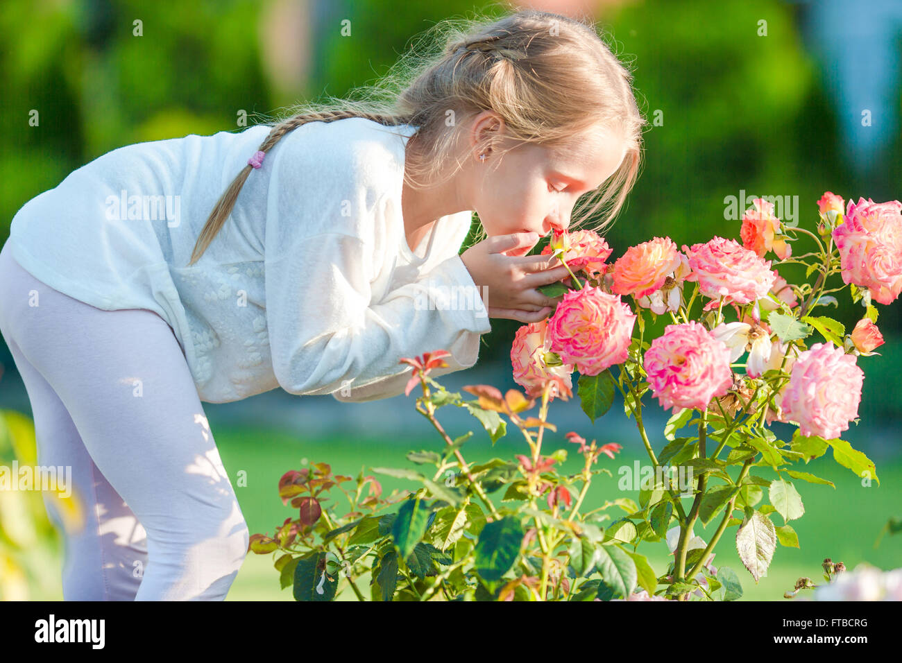 Little adorable girl smelling colorful flowers outdoors Stock Photo - Alamy