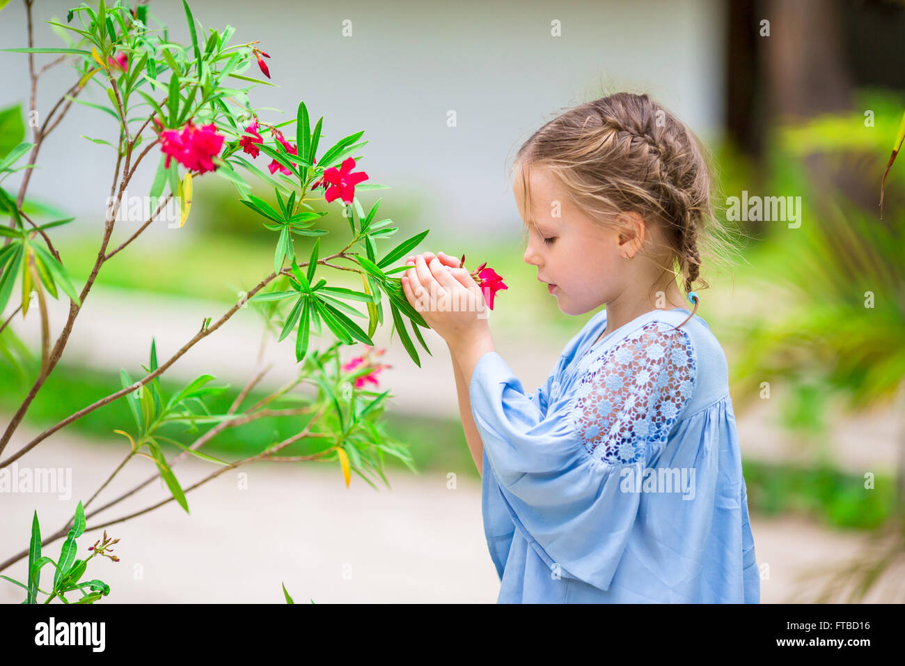 Little adorable girl smelling colorful flowers outdoors Stock Photo - Alamy