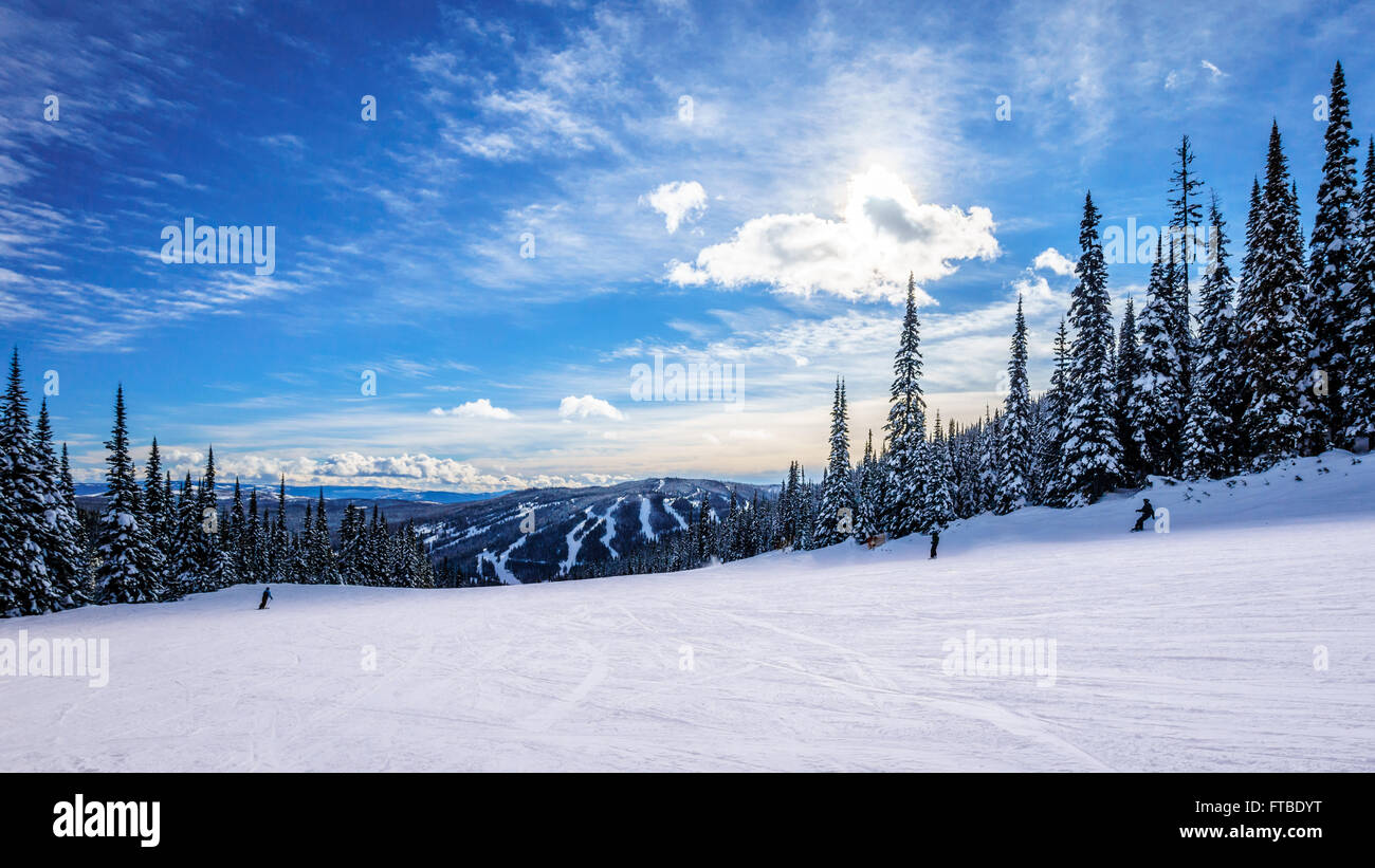 Snow fields in the high alpine of ski areas around the village of Sun Peaks in the Shuswap Highlands of British Columbia in western Canada Stock Photo