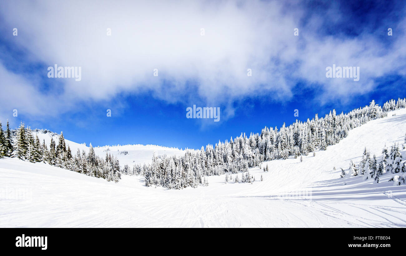Snow fields in the high alpine of ski areas around the village of Sun Peaks in the Shuswap Highlands of British Columbia in western Canada Stock Photo