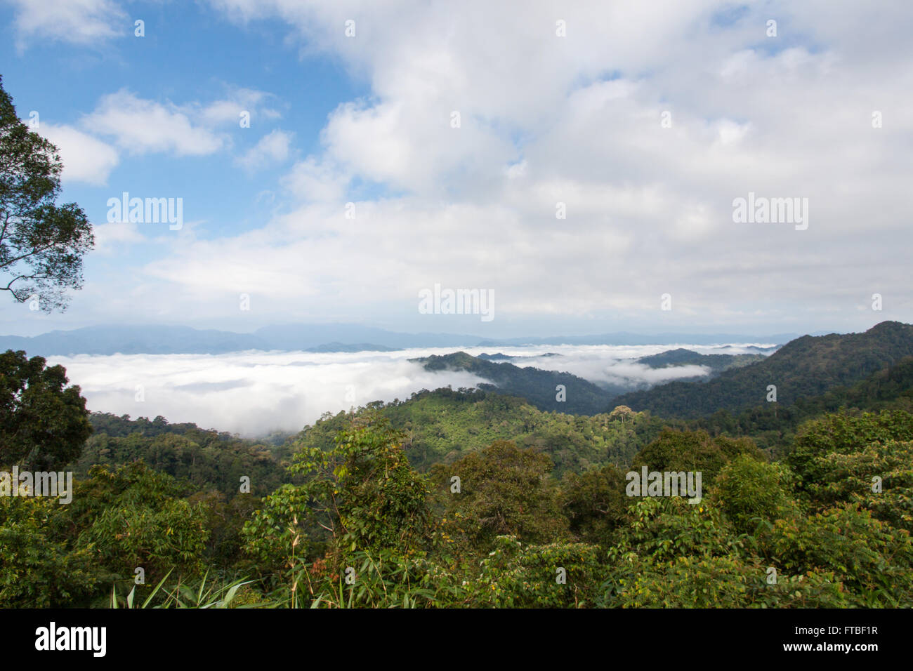 Late in the morning mountain ranges with fog Stock Photo