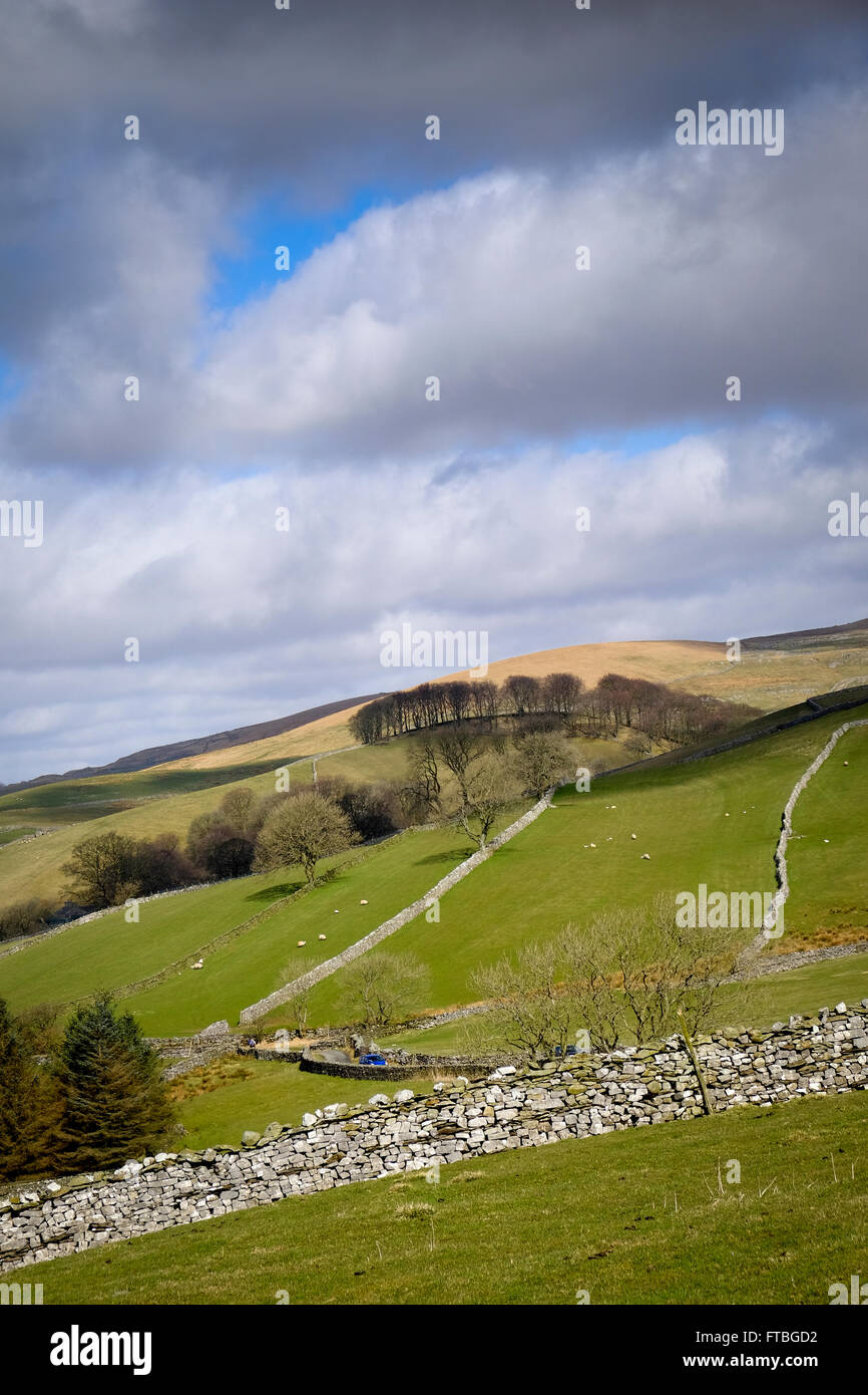 Ribblesdale view hi-res stock photography and images - Alamy