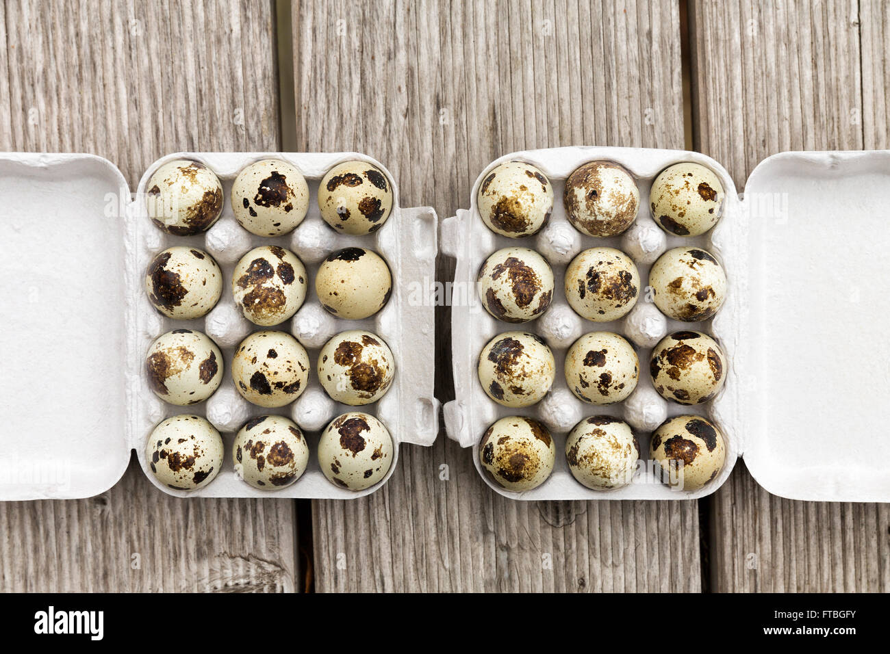 Quail eggs, two dozen in a box Stock Photo