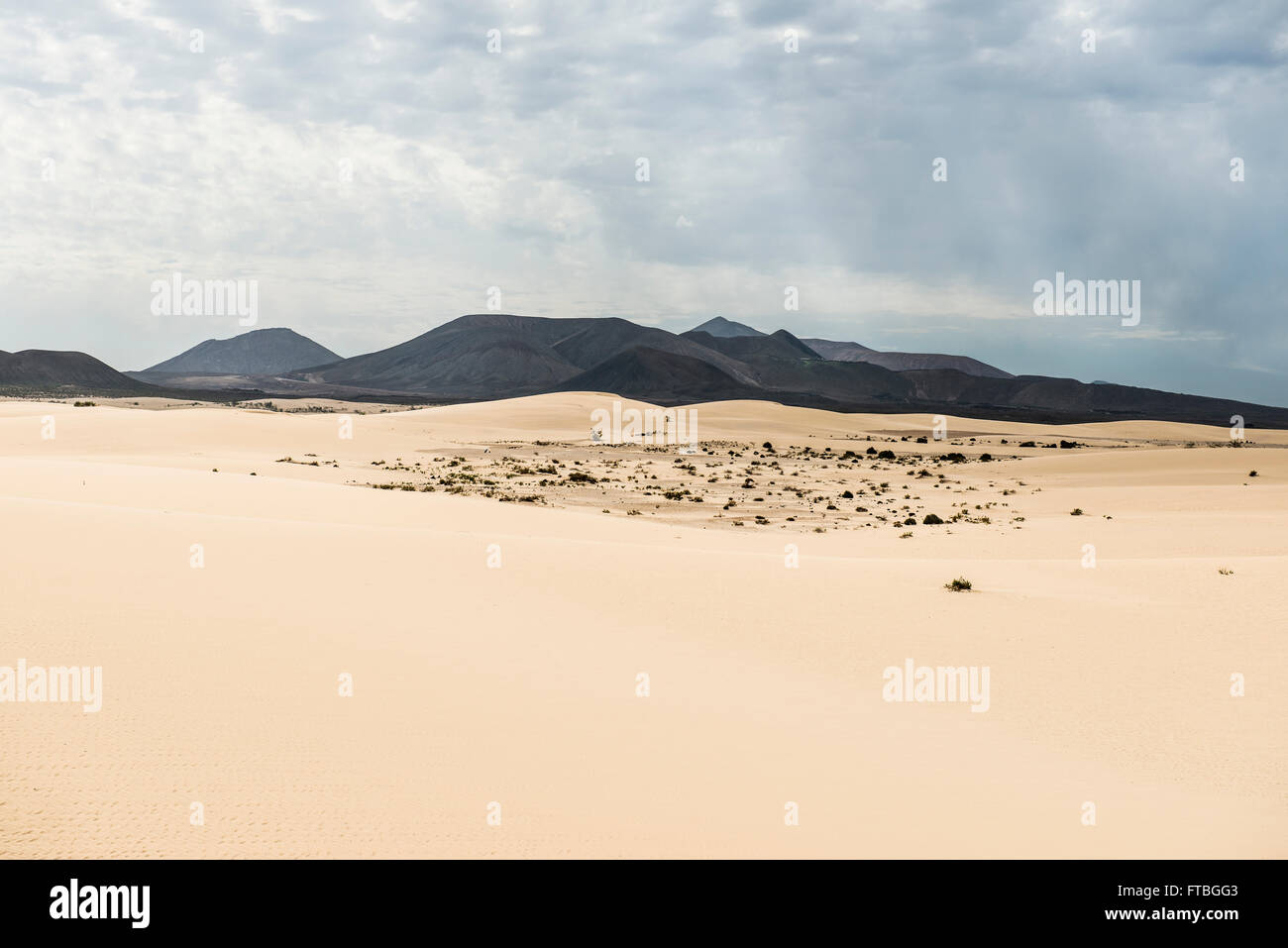 Dunes in front of volcanic mountains, Corralejo Dunes Natural Park, Corralejo, Fuerteventura, Canary Islands, Spain Stock Photo