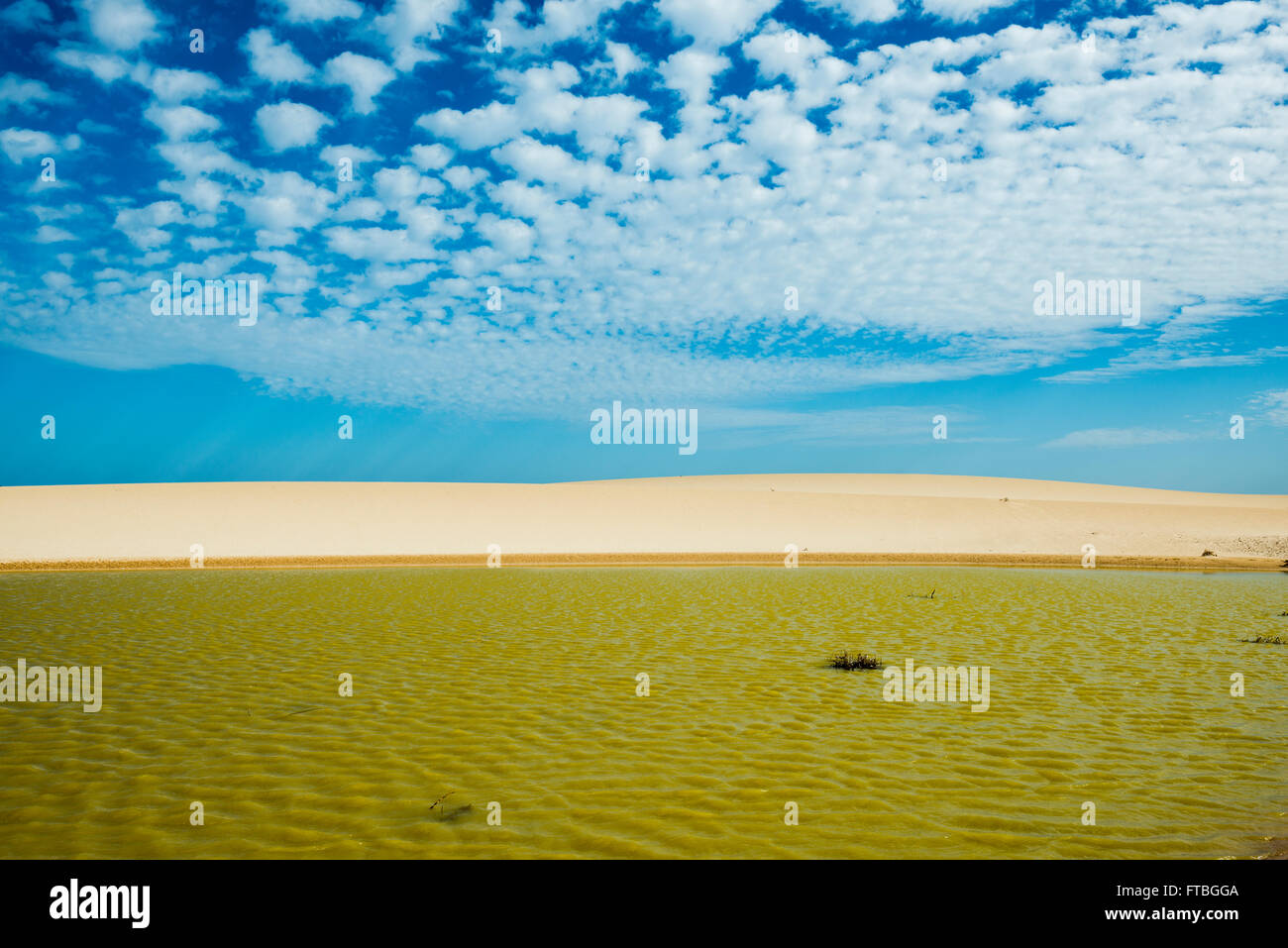 Pluvial lake in the dunes, Corralejo Dunes Natural Park, Corralejo, Fuerteventura, Canary Islands, Spain Stock Photo