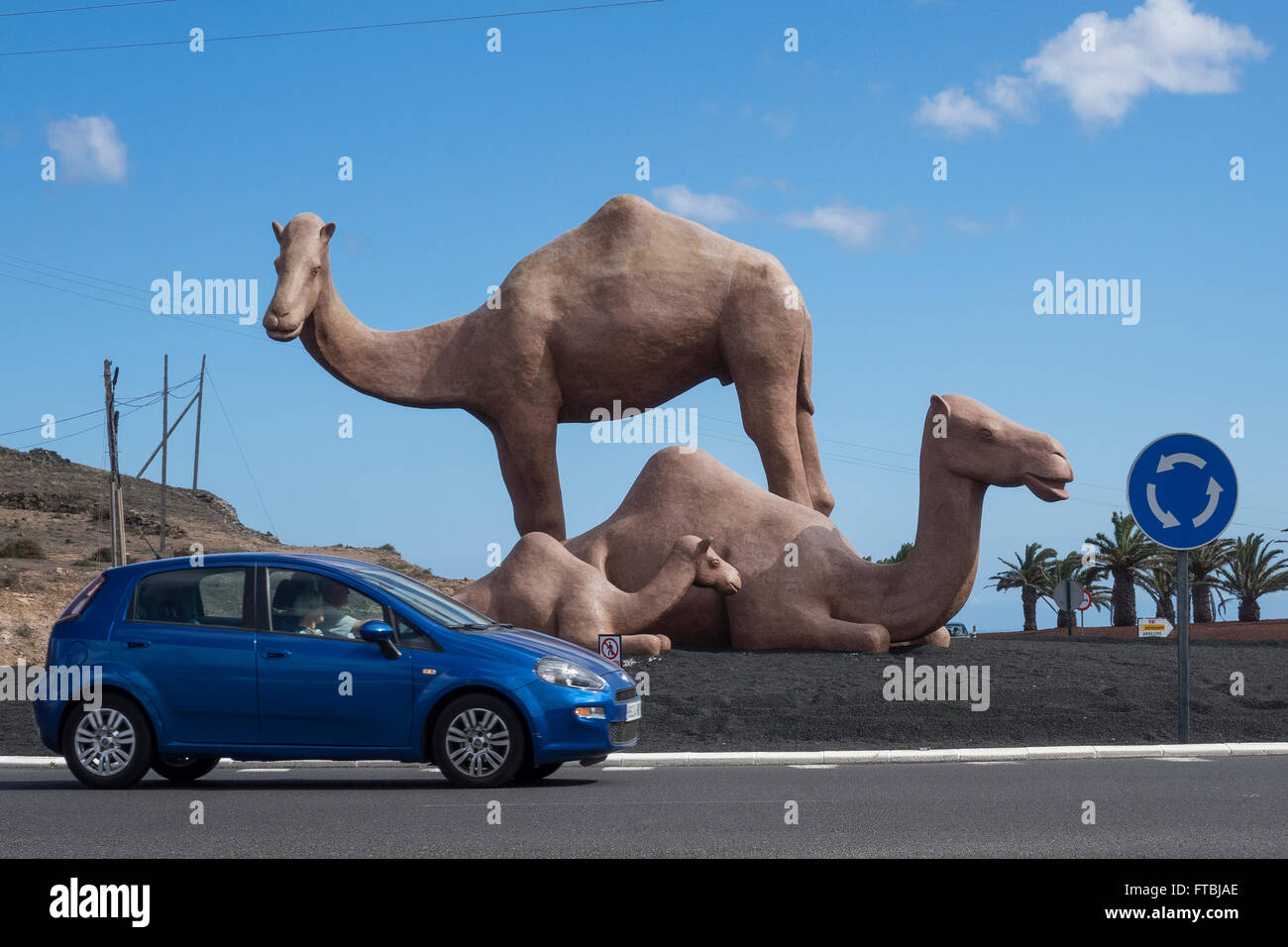 Spain, Canary islands, Lanzarote, Traffic roundabout with camel statues Stock Photo