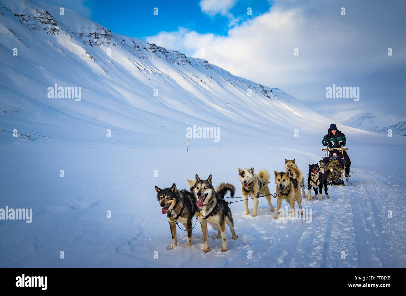 Dog sledding Scott Turnerbreen Glacier, near Longyearbyen, Spitsbergen, Svalbard Stock Photo
