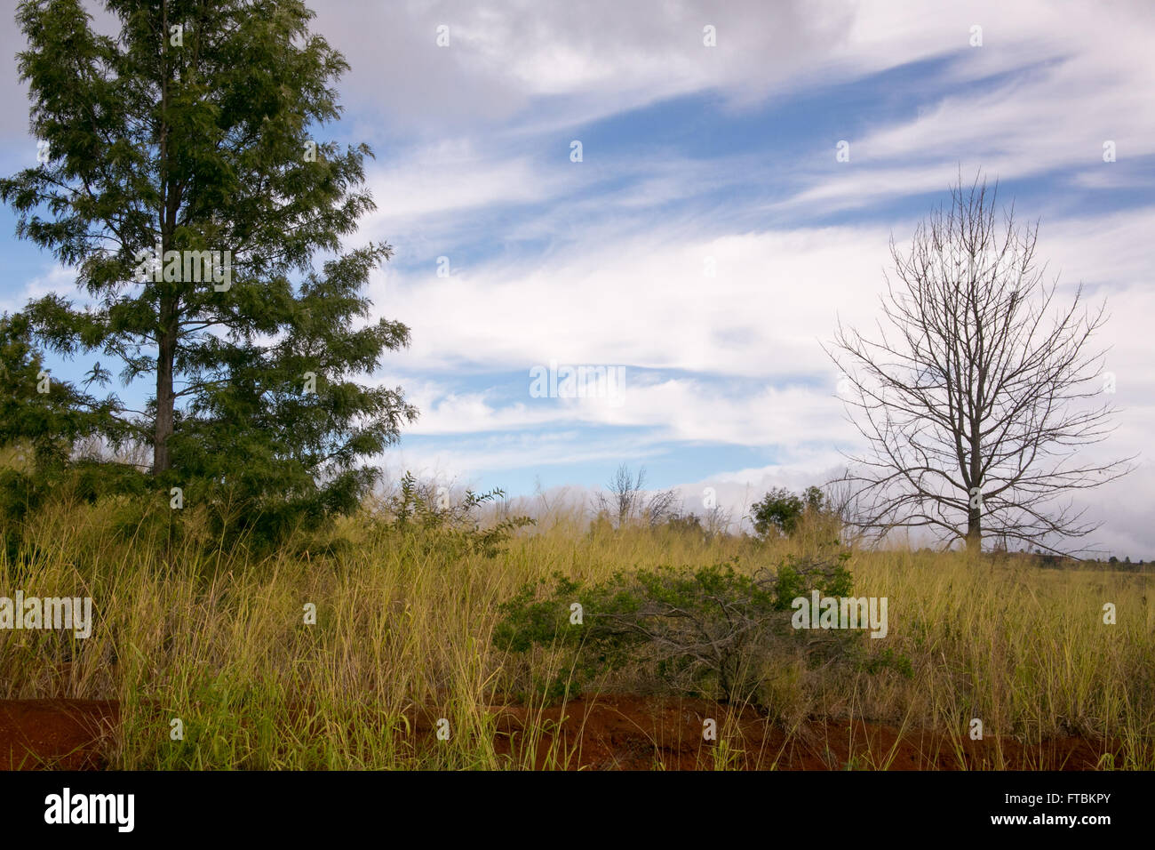 STOCK HAWAII PHOTOS visual data 6