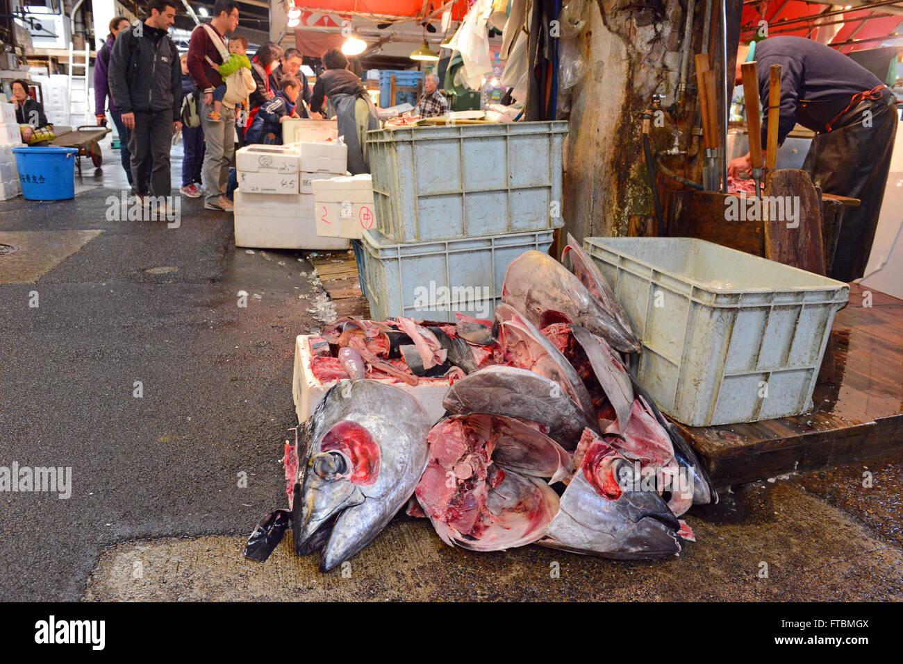 The Tsukiji Fish market Tokyo, Japan Stock Photo - Alamy