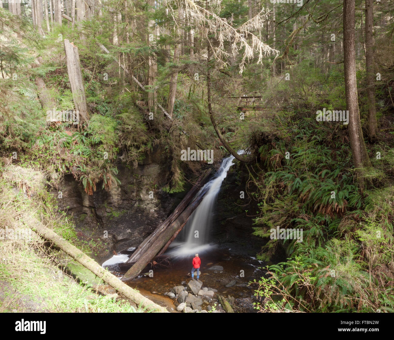 Payzant Creek, Juan de Fuca trail, Vancovuer Island BC Stock Photo