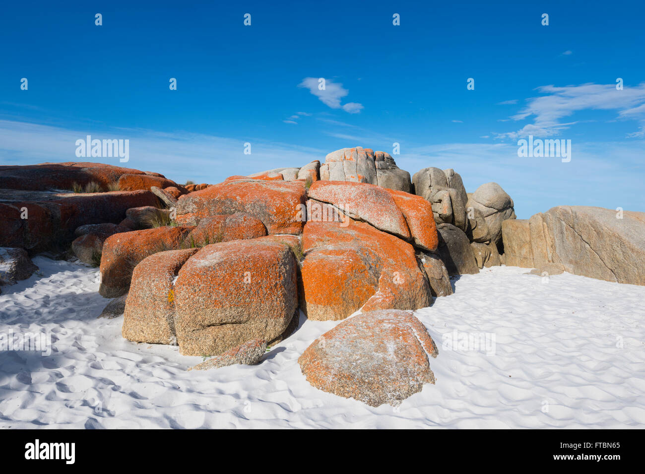 The Bay of Fire in Tasmania is made of orange lichen-covered granite boulders, TAS, Australia Stock Photo