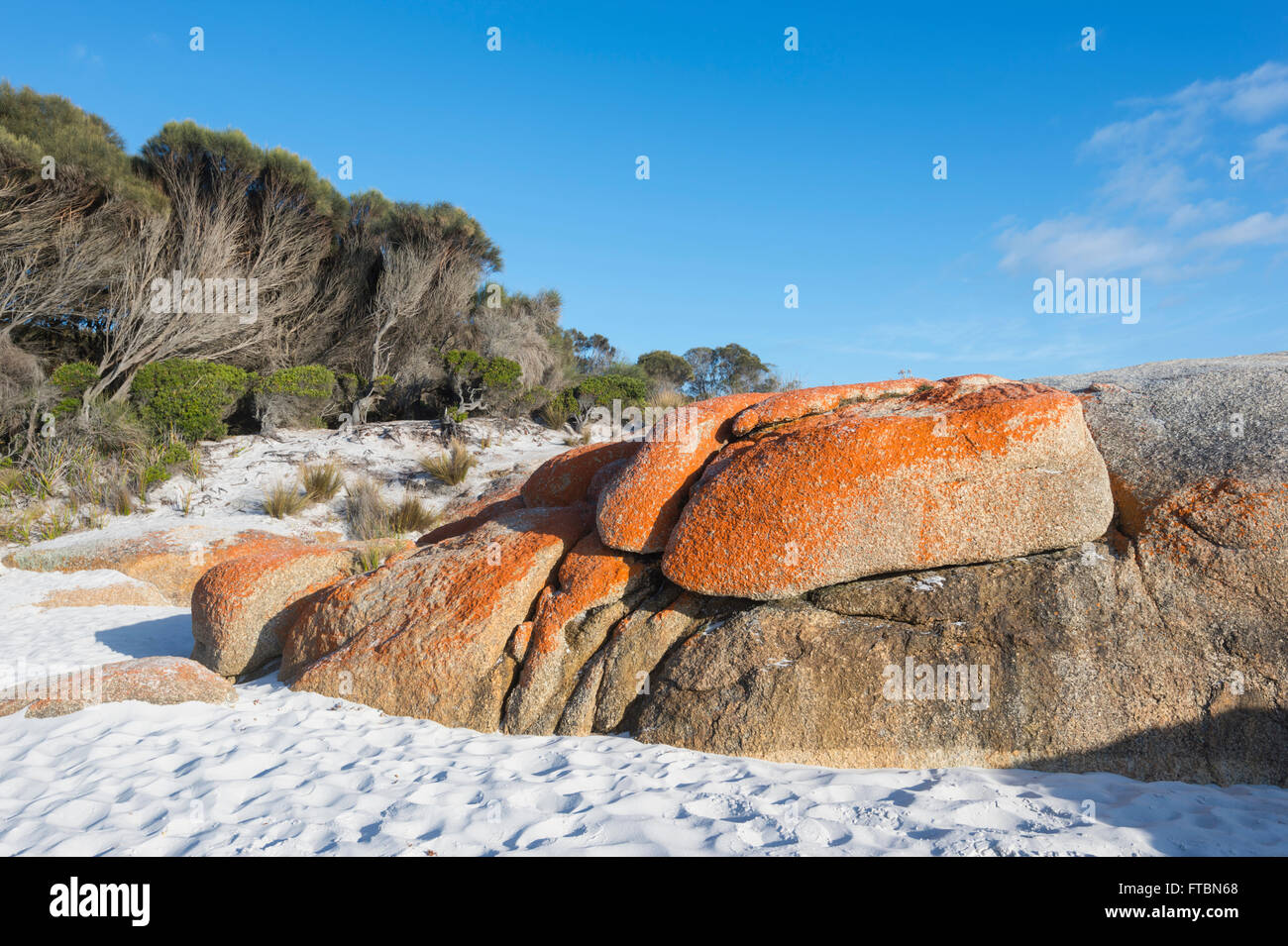 The Bay of Fire in Tasmania is made of orange lichen-covered granite boulders, TAS, Australia Stock Photo