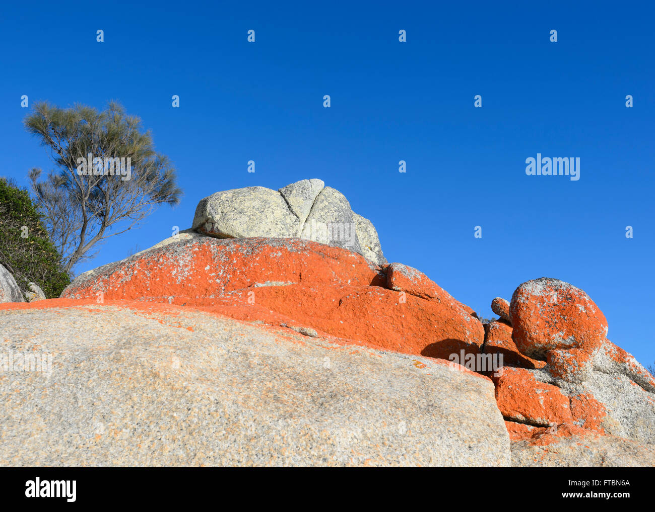 The Bay of Fire in Tasmania is made of orange lichen-covered granite boulders, TAS, Australia Stock Photo