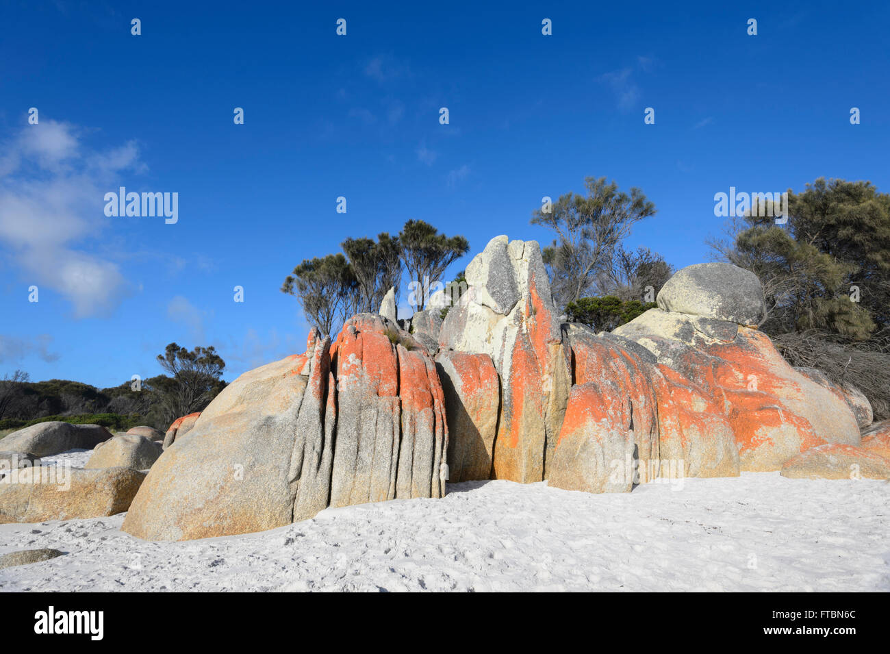 The Bay of Fire in Tasmania is made of orange lichen-covered granite boulders, TAS, Australia Stock Photo