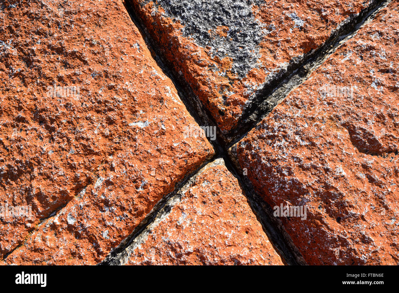 Details of orange lichen-covered granite boulders, Bay of Fires, Tasmania, TAS, Australia Stock Photo