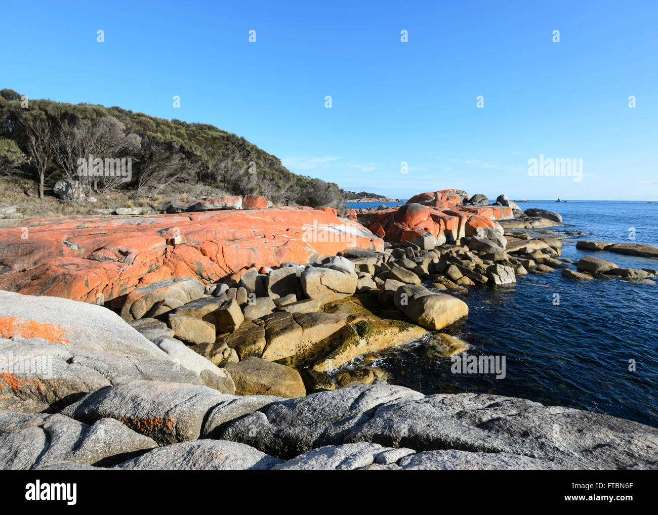 The Bay of Fire in Tasmania is made of orange lichen-covered granite boulders, TAS, Australia Stock Photo