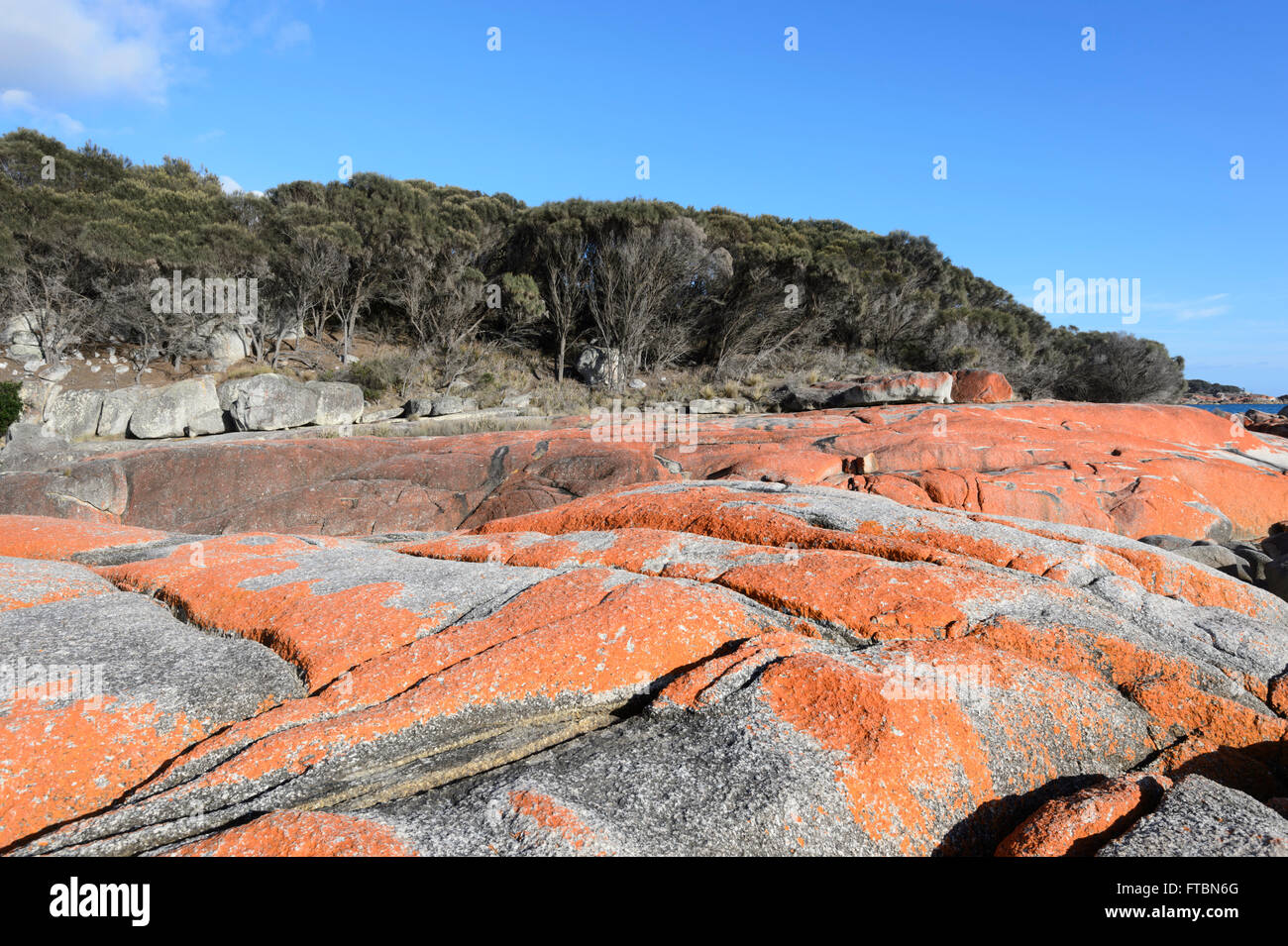 The Bay of Fire in Tasmania is made of orange lichen-covered granite boulders, TAS, Australia Stock Photo