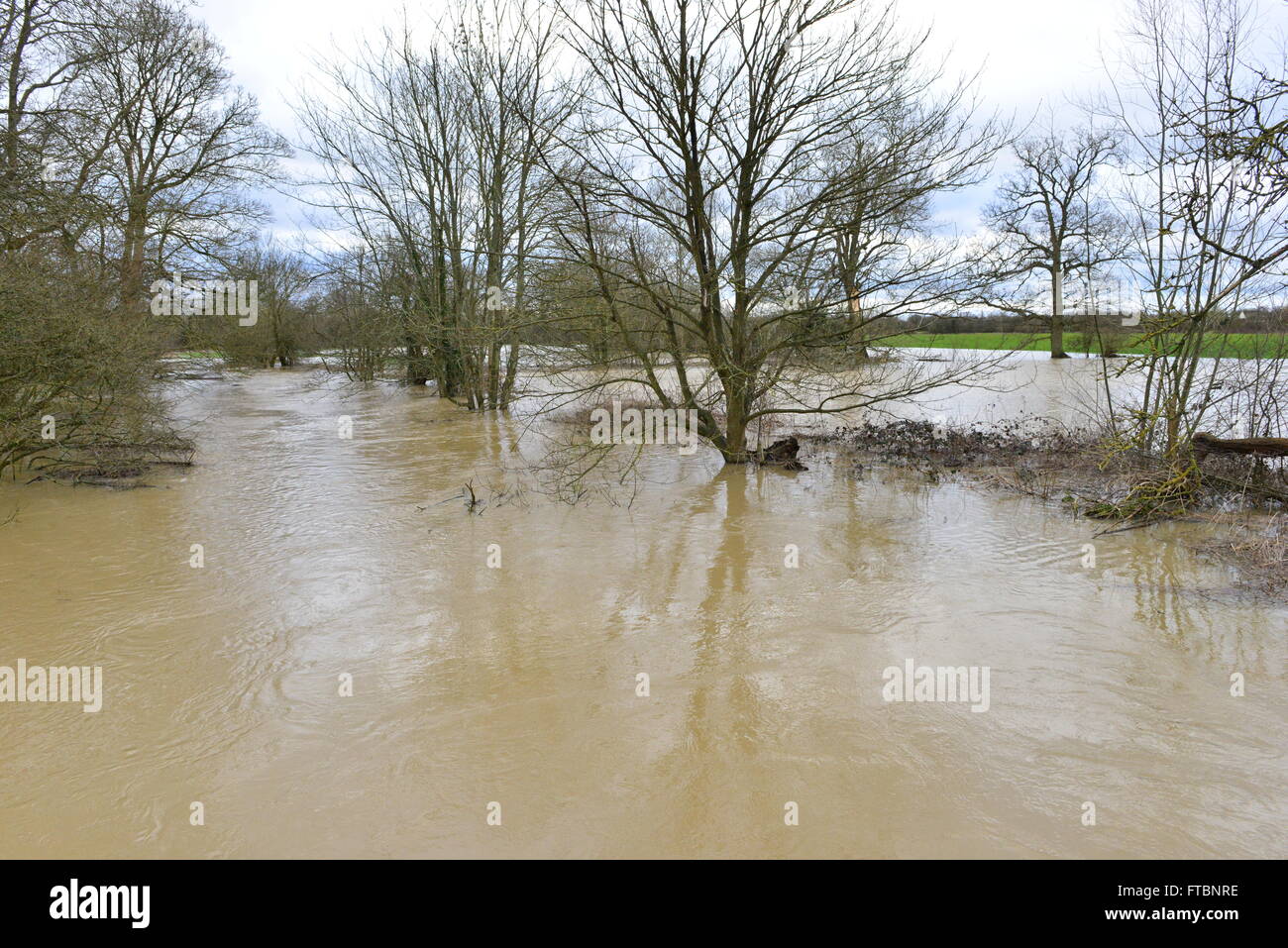 River Mole flooding its banks in Horley, Surrey after Storm Katie Stock