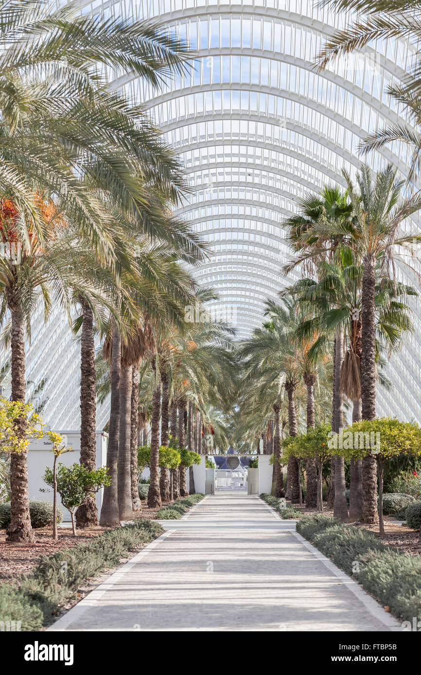 The umbracle valencia hi-res stock photography and images - Alamy